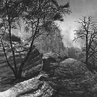 Zen Zsigo (Cremation Lily) - Winter Orbit vinyl cover