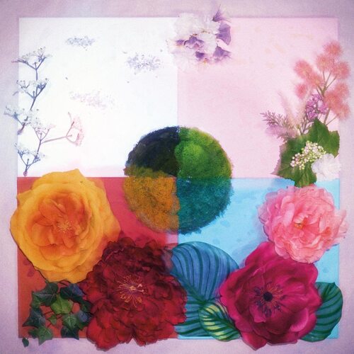 Zenizen - P.O.C Proof Of Concept (Limited Pink & Maroon) vinyl cover
