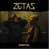 Zetas - Didattica vinyl cover
