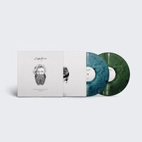 Ziggy Alberts - Land & Sea X Four Feet in the Forest vinyl cover