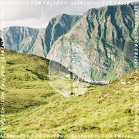 Ziggy Alberts - Searching For Freedom vinyl cover