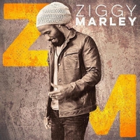 Ziggy Marley - Ziggy Marley vinyl cover