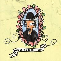 Zita Swoon - Everyday I Wear A Greasy Black Feather On My Hat vinyl cover