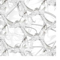 Ziur - U Feel Anything vinyl cover