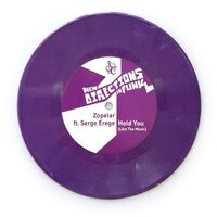 Zopelar / Nephrok Allstars - New Directions In Funk Vol. 2 vinyl cover