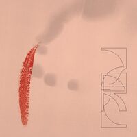 Zrl - Our Savings vinyl cover