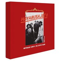 佐野元春 & THE COYOTE BAND - HAYABUSA JET II vinyl cover