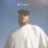 Zwangere Guy - Wie Is Guy vinyl cover