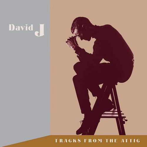 David J - Tracks From The Attic vinyl cover
