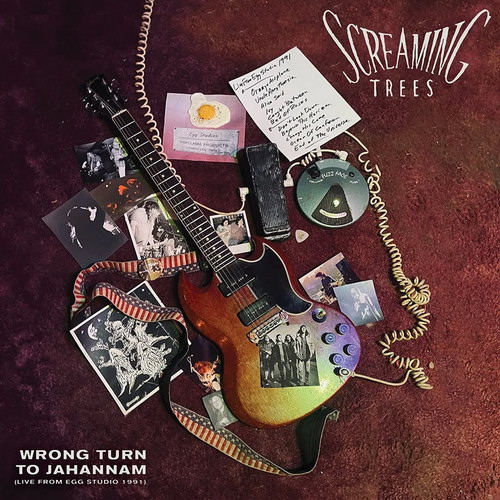Screaming Trees - Live At Egg Studios vinyl cover