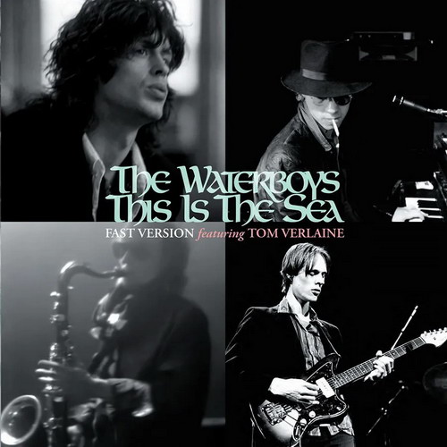 The Waterboys - This Is The Sea (Fast Version) vinyl cover