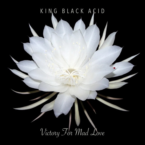 King Black Acid - Victory For Mad Love vinyl cover