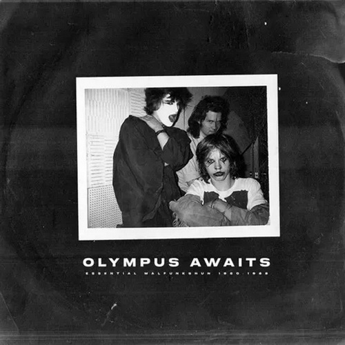 Malfunkshun - Olympus Awaits vinyl cover