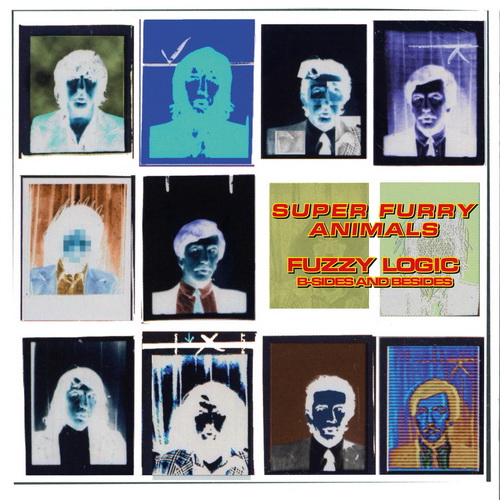 Super Furry Animals - Fuzzy Logic (B-Sides & Besides) vinyl cover