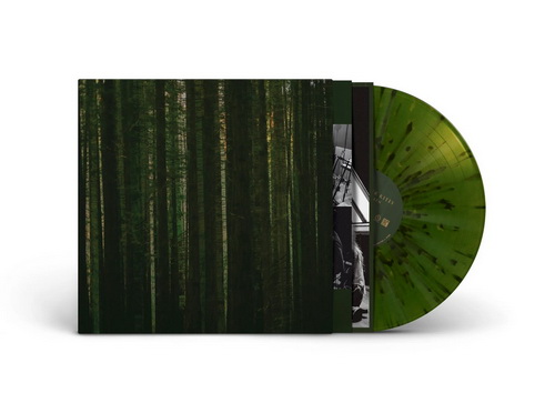 The Paper Kites - Evergreen vinyl cover