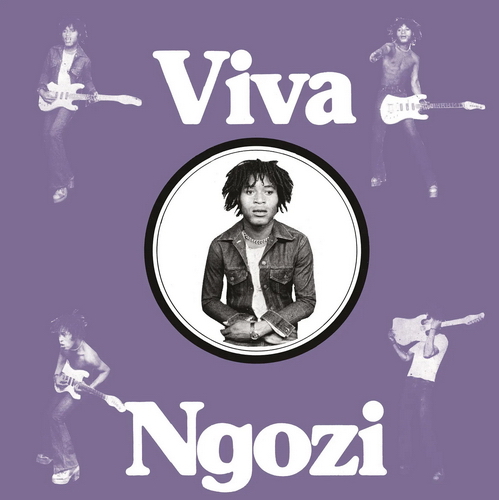 Paul Ngozi - Viva Ngozi vinyl cover