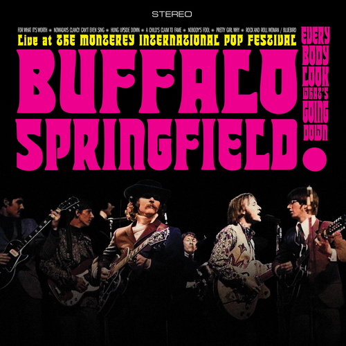 The Byrds/Buffalo Springfield - The Byrds / Buffalo Springfield: Live at the Monterey International Pop Festival vinyl cover